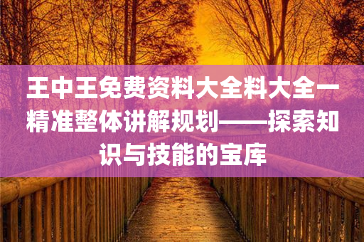 王中王免费资料大全料大全一精准整体讲解规划——探索知识与技能的宝库