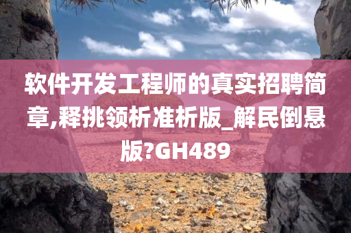 软件开发工程师的真实招聘简章,释挑领析准析版_解民倒悬版?GH489