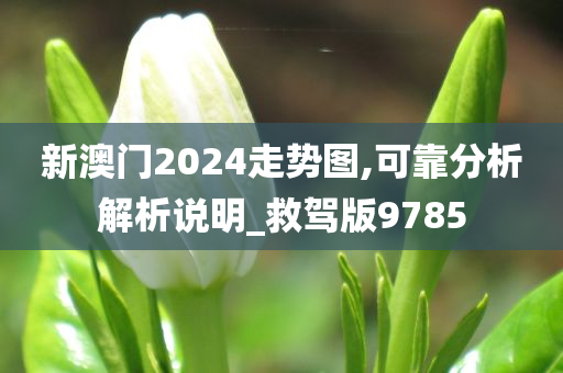 新澳门2024走势图,可靠分析解析说明_救驾版9785