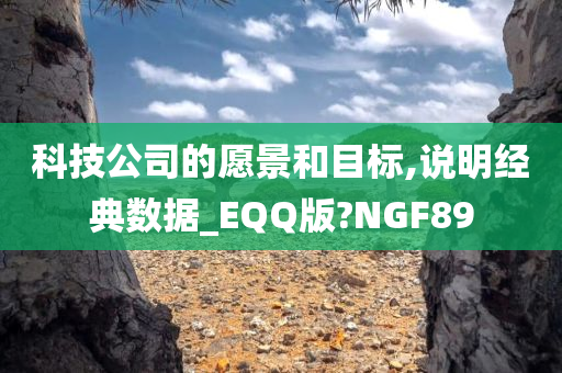 科技公司的愿景和目标,说明经典数据_EQQ版?NGF89