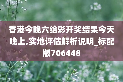 香港今晚六给彩开奖结果今天晚上,实地评估解析说明_标配版706448