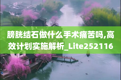 膀胱结石做什么手术痛苦吗,高效计划实施解析_Lite252116