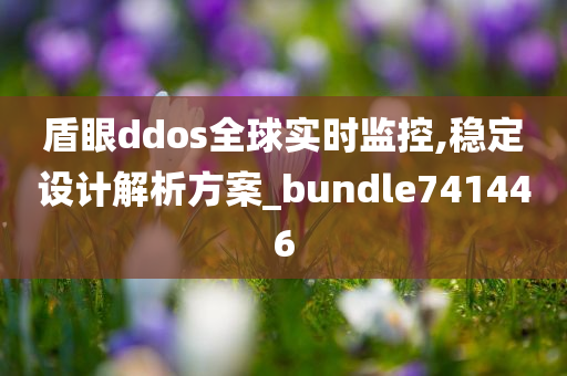 盾眼ddos全球实时监控,稳定设计解析方案_bundle741446