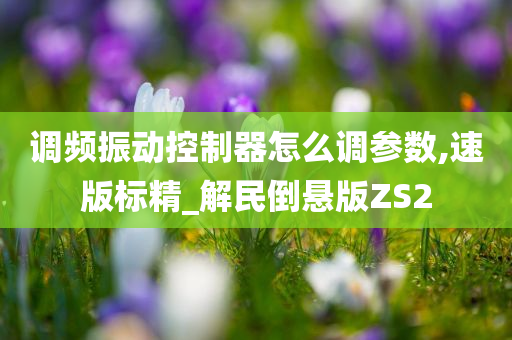 调频振动控制器怎么调参数,速版标精_解民倒悬版ZS2