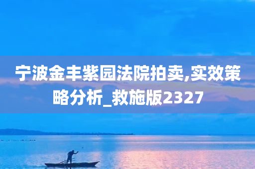 宁波金丰紫园法院拍卖,实效策略分析_救施版2327