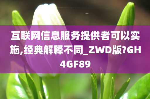 互联网信息服务提供者可以实施,经典解释不同_ZWD版?GH4GF89