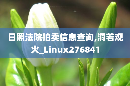 日照法院拍卖信息查询,洞若观火_Linux276841