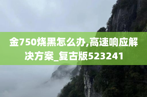 金750烧黑怎么办,高速响应解决方案_复古版523241