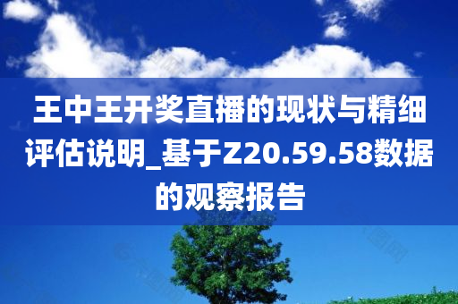 王中王开奖直播的现状与精细评估说明_基于Z20.59.58数据的观察报告