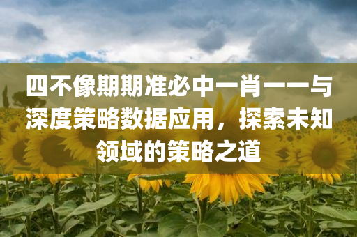 四不像期期准必中一肖一一与深度策略数据应用，探索未知领域的策略之道