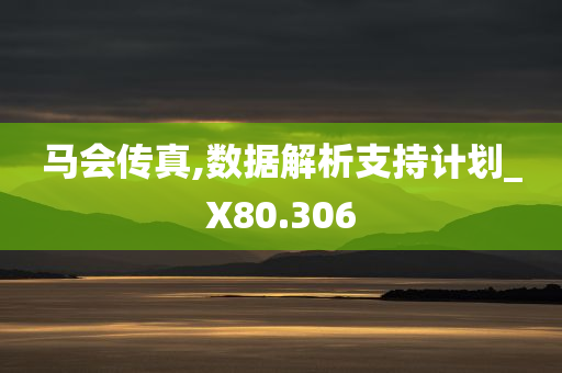 马会传真,数据解析支持计划_X80.306