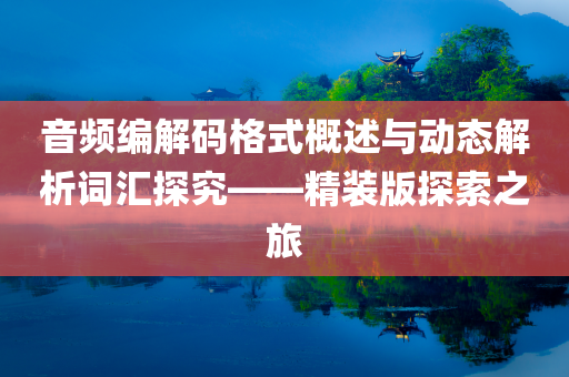 音频编解码格式概述与动态解析词汇探究——精装版探索之旅