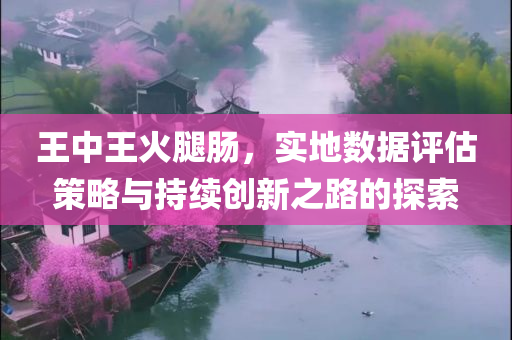 王中王火腿肠，实地数据评估策略与持续创新之路的探索