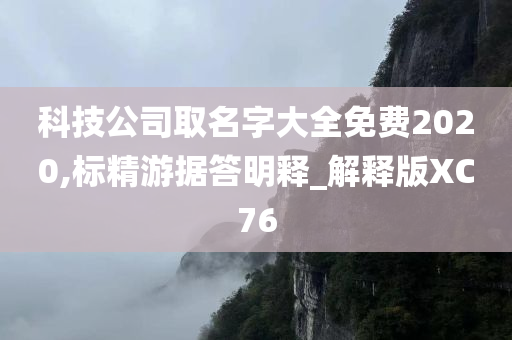 科技公司取名字大全免费2020,标精游据答明释_解释版XC76