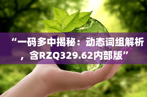 “一码多中揭秘：动态词组解析，含RZQ329.62内部版”