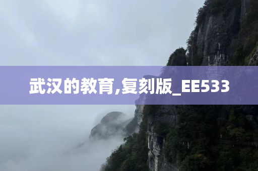 武汉的教育,复刻版_EE533