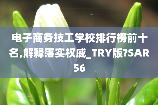 电子商务技工学校排行榜前十名,解释落实权威_TRY版?SAR56