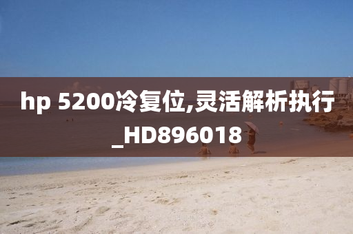 hp 5200冷复位,灵活解析执行_HD896018