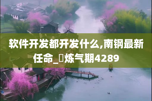 软件开发都开发什么,南钢最新任命_‌炼气期4289