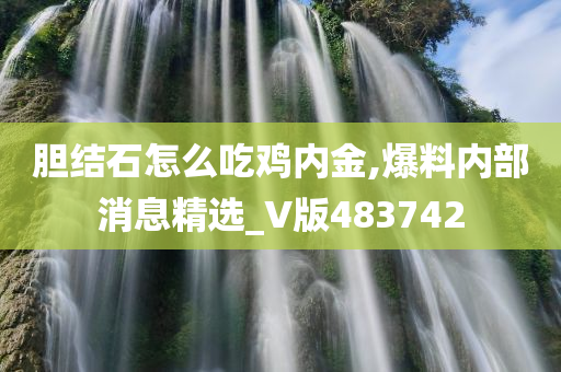 胆结石怎么吃鸡内金,爆料内部消息精选_V版483742