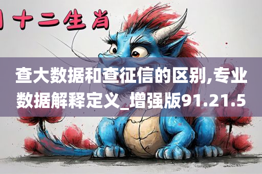 查大数据和查征信的区别,专业数据解释定义_增强版91.21.50