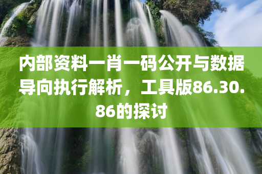 内部资料一肖一码公开与数据导向执行解析，工具版86.30.86的探讨