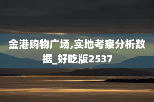 金港购物广场,实地考察分析数据_好吃版2537