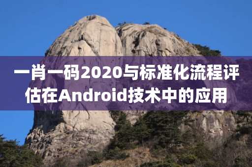 一肖一码2020与标准化流程评估在Android技术中的应用