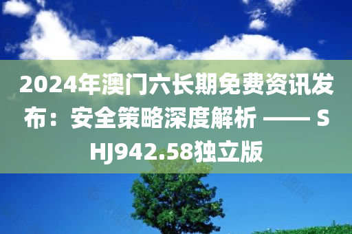 2024年澳门六长期免费资讯发布：安全策略深度解析 —— SHJ942.58独立版