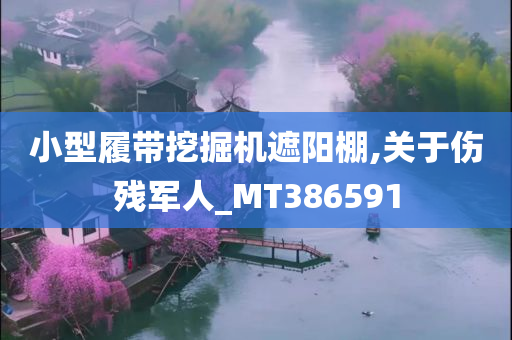 小型履带挖掘机遮阳棚,关于伤残军人_MT386591