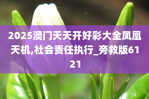 2025澳门天天开好彩大全凤凰天机,社会责任执行_旁救版6121