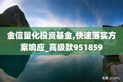 金信量化投资基金,快速落实方案响应_高级款951859