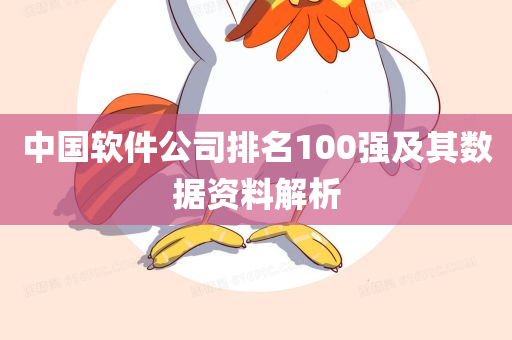 中国软件公司排名100强及其数据资料解析