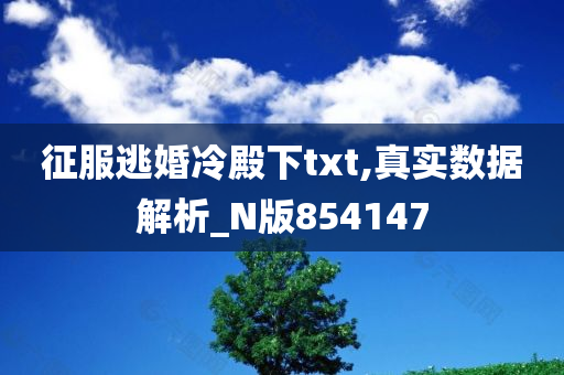 征服逃婚冷殿下txt,真实数据解析_N版854147