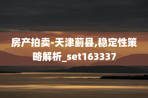 房产拍卖-天津蓟县,稳定性策略解析_set163337