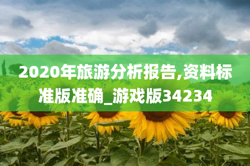 2020年旅游分析报告,资料标准版准确_游戏版34234