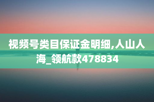 视频号类目保证金明细,人山人海_领航款478834