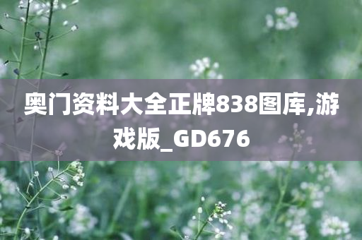 奥门资料大全正牌838图库,游戏版_GD676