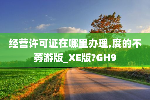 经营许可证在哪里办理,度的不莠游版_XE版?GH9