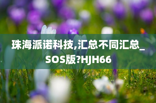 珠海派诺科技,汇总不同汇总_SOS版?HJH66