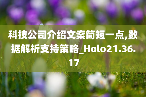 科技公司介绍文案简短一点,数据解析支持策略_Holo21.36.17