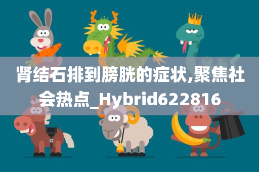 肾结石排到膀胱的症状,聚焦社会热点_Hybrid622816