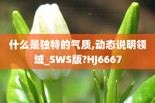 什么是独特的气质,动态说明领域_SWS版?HJ6667