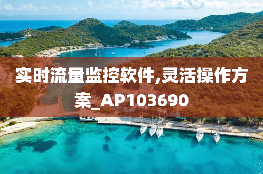 实时流量监控软件,灵活操作方案_AP103690