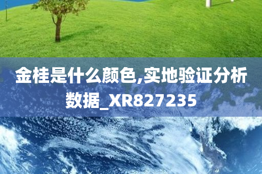 金桂是什么颜色,实地验证分析数据_XR827235