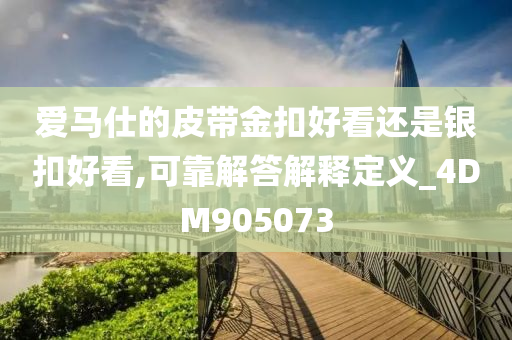 爱马仕的皮带金扣好看还是银扣好看,可靠解答解释定义_4DM905073