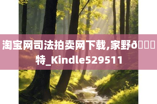 淘宝网司法拍卖网下载,家野🀄特_Kindle529511