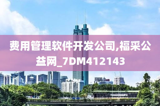 费用管理软件开发公司,福采公益网_7DM412143