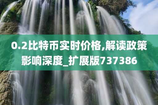 0.2比特币实时价格,解读政策影响深度_扩展版737386