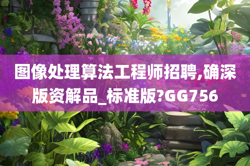 图像处理算法工程师招聘,确深版资解品_标准版?GG756